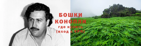 спиды Аркадак
