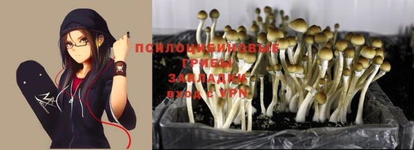 прущая мука Семикаракорск