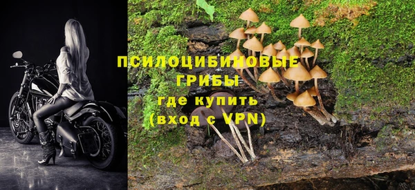 спиды Аркадак